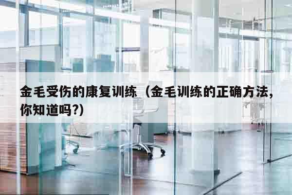 金毛受伤的康复训练（金毛训练的正确方法,你知道吗?）