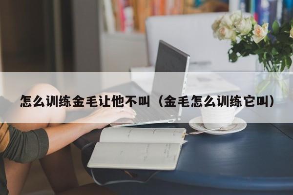 怎么训练金毛让他不叫（金毛怎么训练它叫）