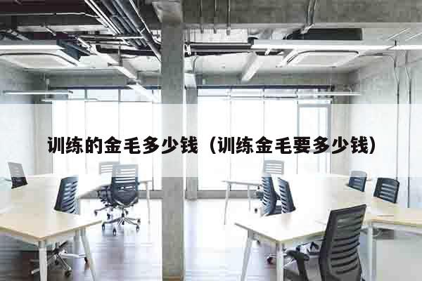 训练的金毛多少钱（训练金毛要多少钱）