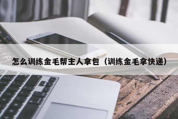 怎么训练金毛帮主人拿包（训练金毛拿快递）