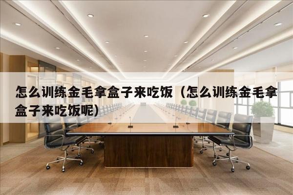 怎么训练金毛拿盒子来吃饭（怎么训练金毛拿盒子来吃饭呢）