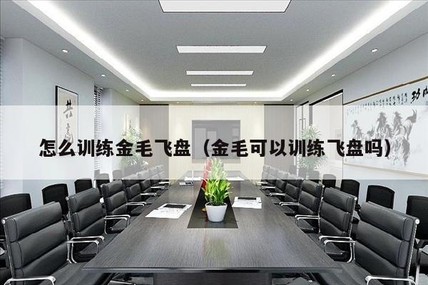 怎么训练金毛飞盘（金毛可以训练飞盘吗）