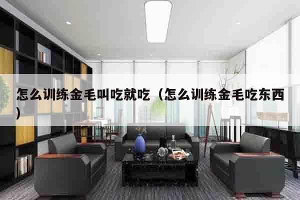 怎么训练金毛叫吃就吃（怎么训练金毛吃东西）