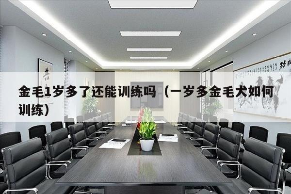 金毛1岁多了还能训练吗（一岁多金毛犬如何训练）