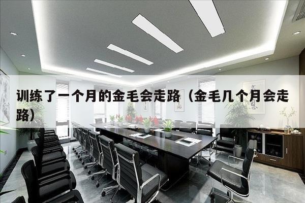 训练了一个月的金毛会走路（金毛几个月会走路）