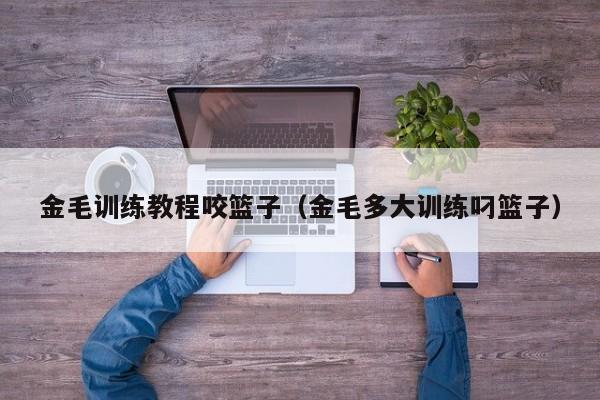 金毛训练教程咬篮子（金毛多大训练叼篮子）