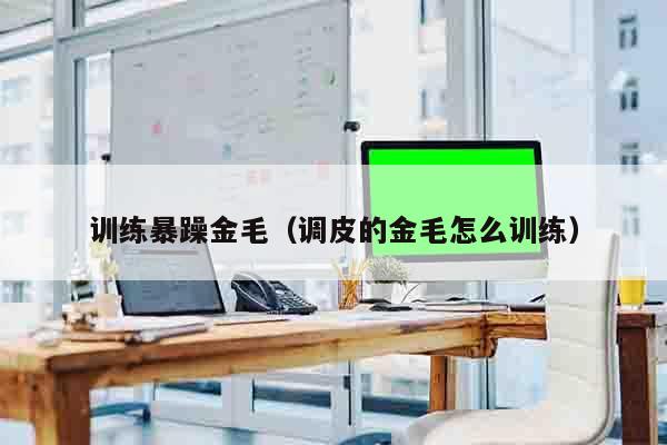 训练暴躁金毛（调皮的金毛怎么训练）