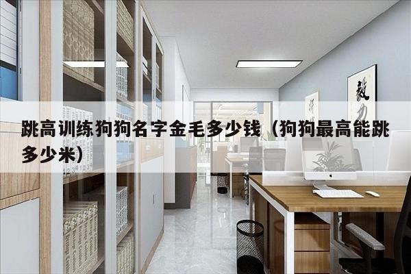 跳高训练狗狗名字金毛多少钱（狗狗最高能跳多少米）
