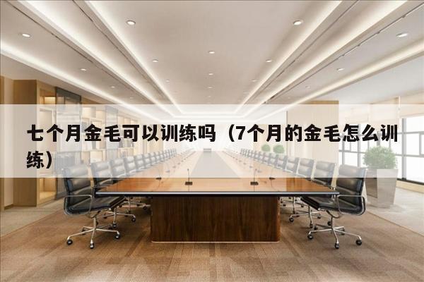 七个月金毛可以训练吗（7个月的金毛怎么训练）