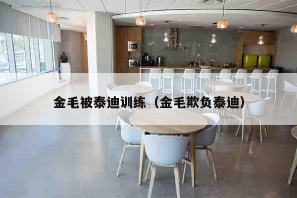 金毛被泰迪训练（金毛欺负泰迪）