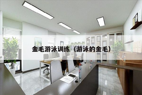 金毛游泳训练（游泳的金毛）