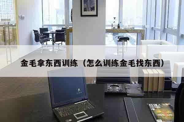金毛拿东西训练（怎么训练金毛找东西）