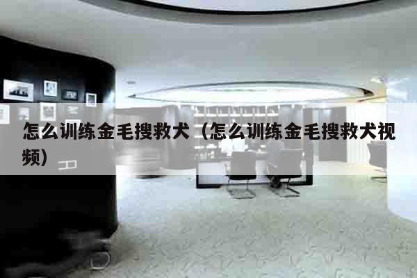 怎么训练金毛搜救犬（怎么训练金毛搜救犬视频）