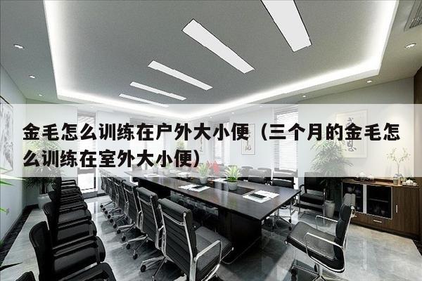 金毛怎么训练在户外大小便（三个月的金毛怎么训练在室外大小便）