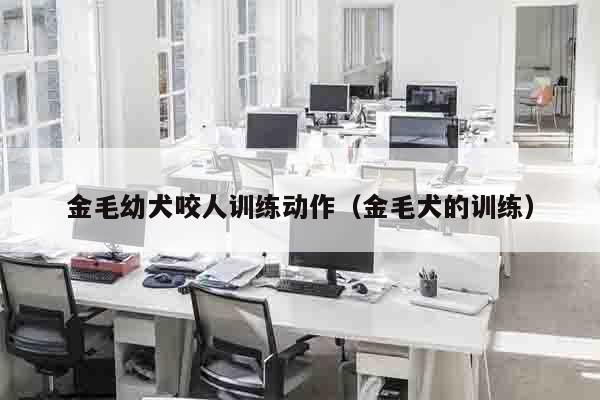 金毛幼犬咬人训练动作（金毛犬的训练）