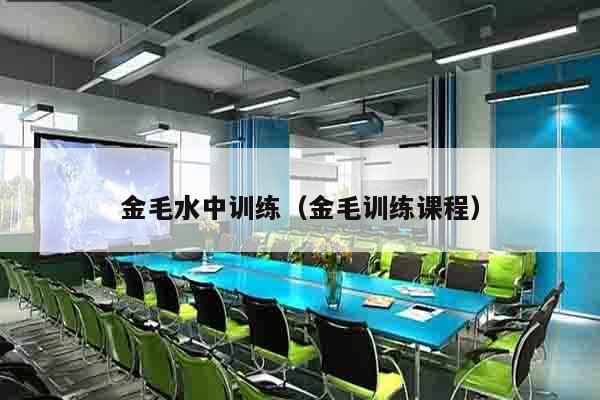 金毛水中训练（金毛训练课程）