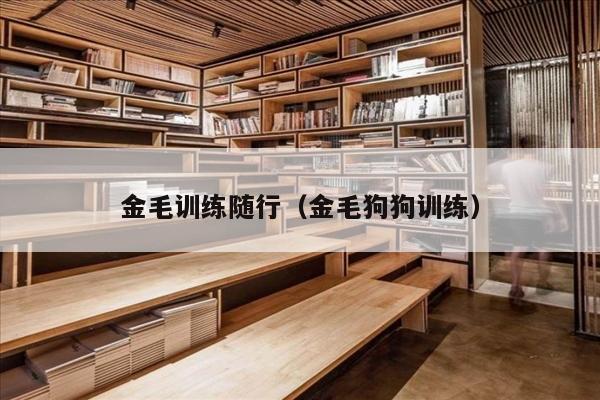 金毛训练随行（金毛狗狗训练）