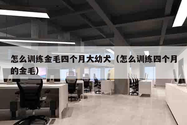 怎么训练金毛四个月大幼犬（怎么训练四个月的金毛）