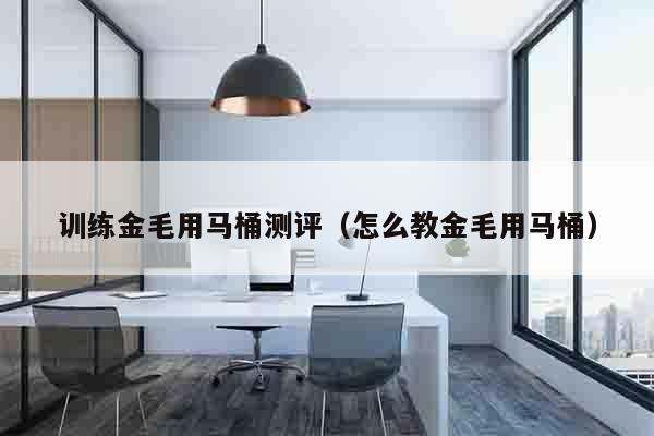 训练金毛用马桶测评（怎么教金毛用马桶）