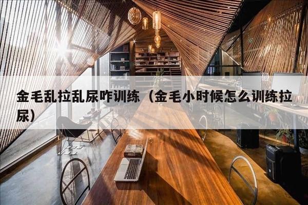 金毛乱拉乱尿咋训练（金毛小时候怎么训练拉尿）