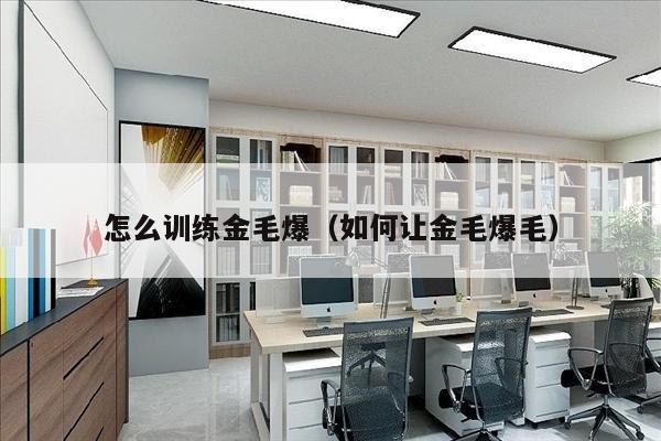 怎么训练金毛爆（如何让金毛爆毛）