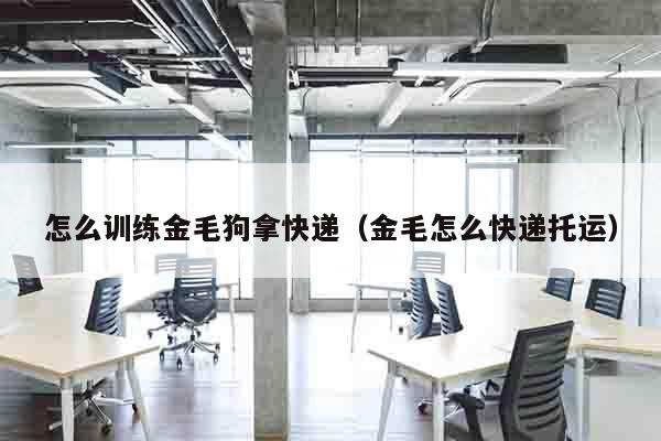 怎么训练金毛狗拿快递（金毛怎么快递托运）