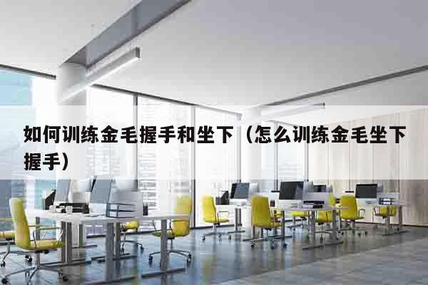 如何训练金毛握手和坐下（怎么训练金毛坐下握手）