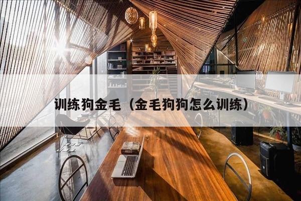训练狗金毛（金毛狗狗怎么训练）