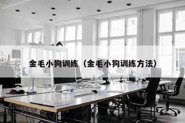 金毛小狗训练（金毛小狗训练方法）