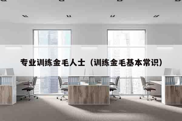 专业训练金毛人士（训练金毛基本常识）