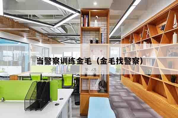 当警察训练金毛（金毛找警察）