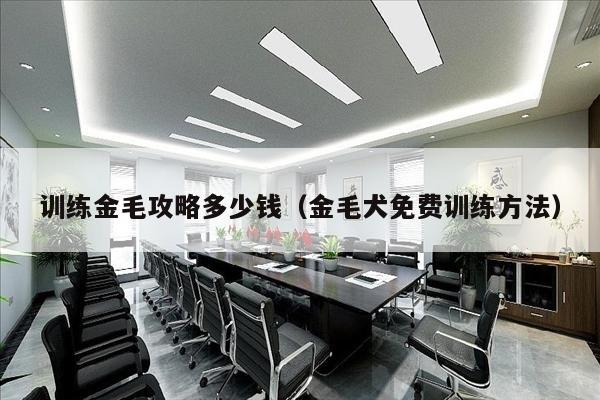 训练金毛攻略多少钱（金毛犬免费训练方法）