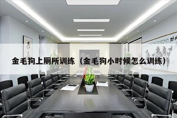 金毛狗上厕所训练（金毛狗小时候怎么训练）