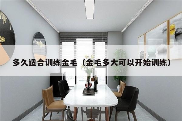 多久适合训练金毛（金毛多大可以开始训练）