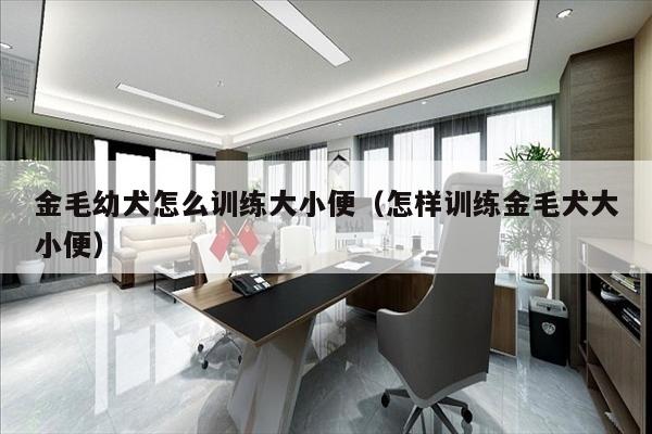 金毛幼犬怎么训练大小便（怎样训练金毛犬大小便）