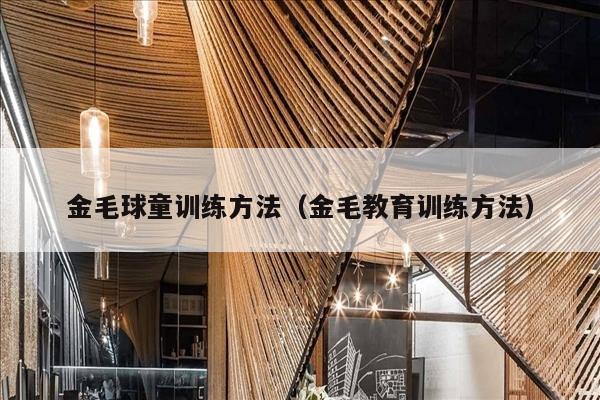 金毛球童训练方法（金毛教育训练方法）