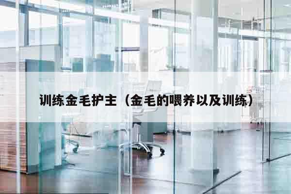 训练金毛护主（金毛的喂养以及训练）