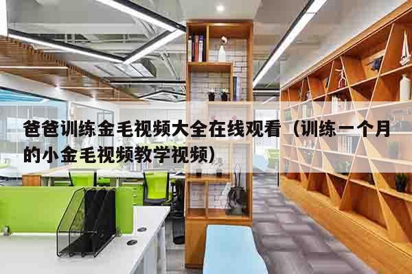 爸爸训练金毛视频大全在线观看（训练一个月的小金毛视频教学视频）