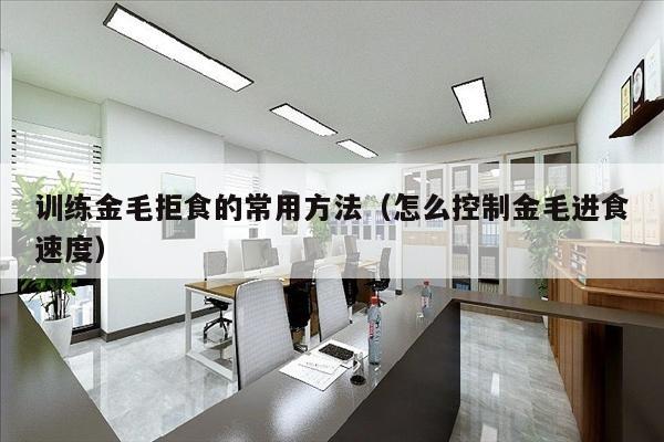 训练金毛拒食的常用方法（怎么控制金毛进食速度）