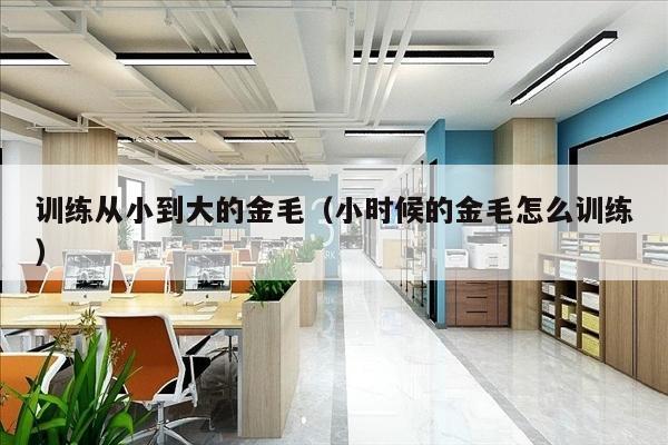 训练从小到大的金毛（小时候的金毛怎么训练）
