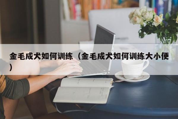 金毛成犬如何训练（金毛成犬如何训练大小便）