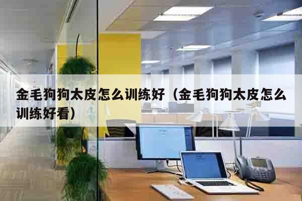 金毛狗狗太皮怎么训练好（金毛狗狗太皮怎么训练好看）