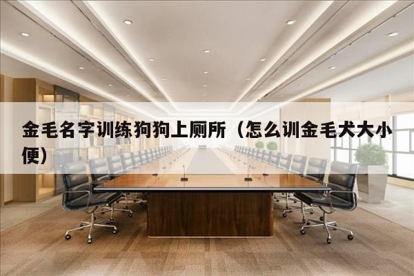金毛名字训练狗狗上厕所（怎么训金毛犬大小便）