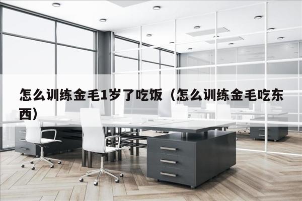怎么训练金毛1岁了吃饭（怎么训练金毛吃东西）