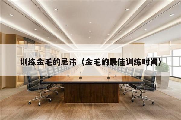 训练金毛的忌讳（金毛的最佳训练时间）