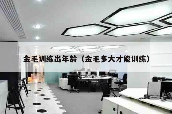 金毛训练出年龄（金毛多大才能训练）
