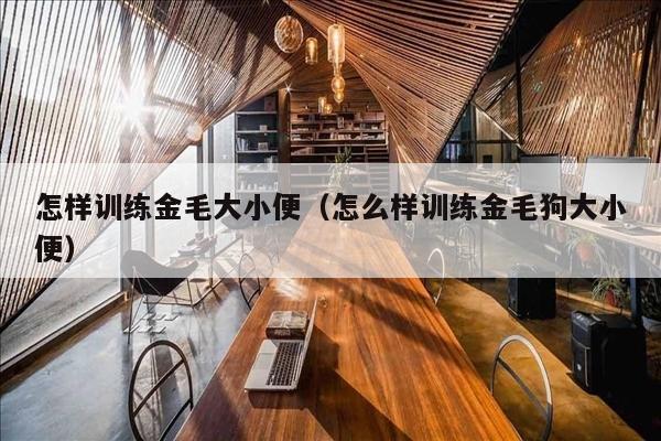 怎样训练金毛大小便（怎么样训练金毛狗大小便）
