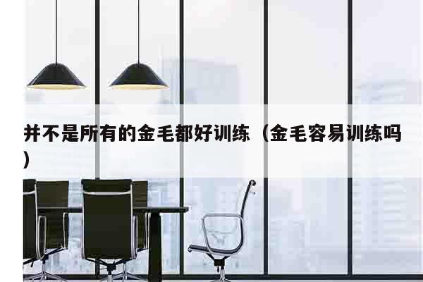 并不是所有的金毛都好训练（金毛容易训练吗）