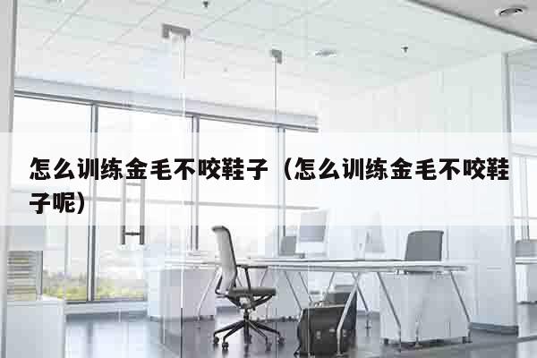 怎么训练金毛不咬鞋子（怎么训练金毛不咬鞋子呢）