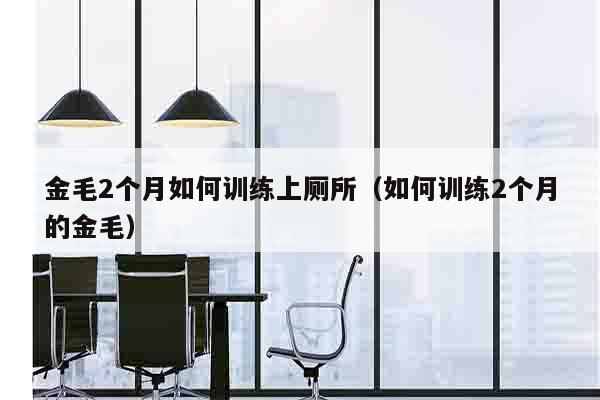 金毛2个月如何训练上厕所（如何训练2个月的金毛）